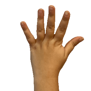 Handing holding up five fingers